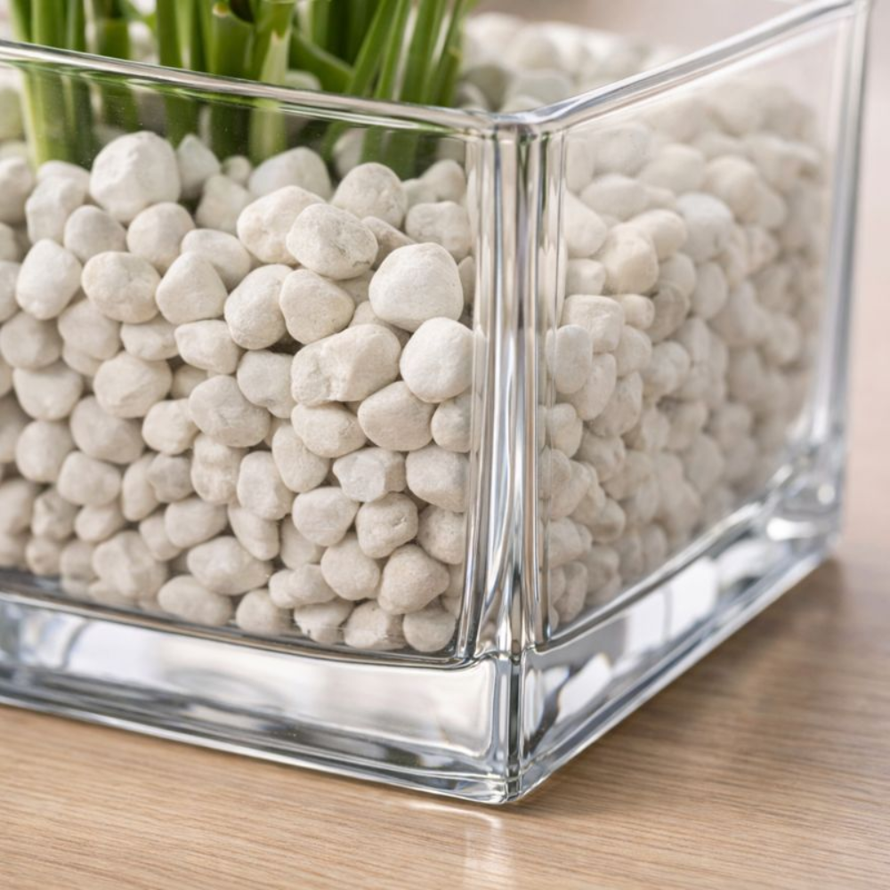 Premium Square Glass Flower Vase | Transparent Tabletop Planter with Pebbles | Modern Desk & Home Decor Glass Pot for Indoor Plants