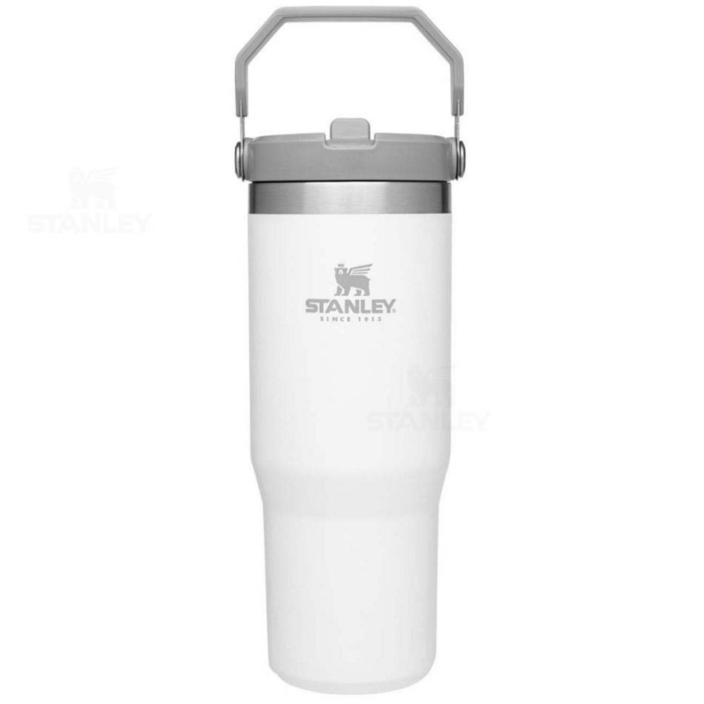 Stanley Quencher H2.0 FlowState Tumbler | Insulated Cup 30oz w/ Handle