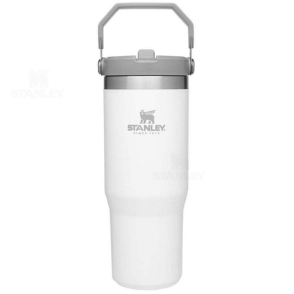 Stanley Quencher H2.0 FlowState Tumbler | Insulated Cup 30oz w/ Handle