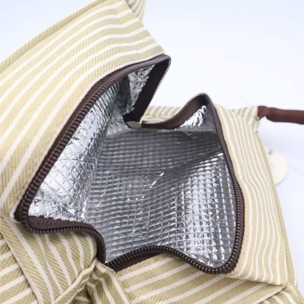 Premium Insulated Lunch Bag Combo – Blue Striped Cooler Tote with 2 Glass Containers & Hello Master Bottle (Lunch Set for Office & Travel)