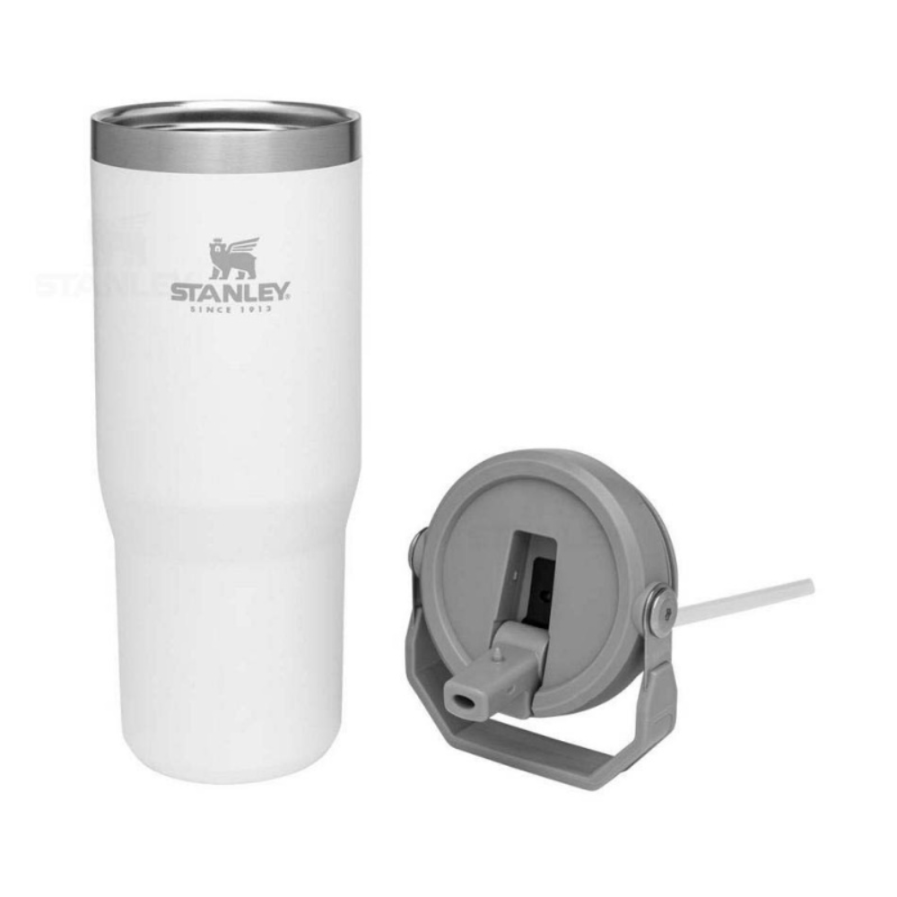 Stanley Quencher H2.0 FlowState Tumbler | Insulated Cup 30oz w/ Handle